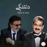 دانلود آهنگ معین و ابراهیم تاتلیس به نام دلتنگی (هوش مصنوعی)